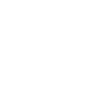 Logo da Gi - Inovações para calçados em branco.